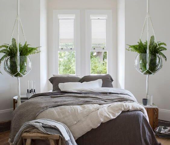 Bedroom with indoor hanging plants