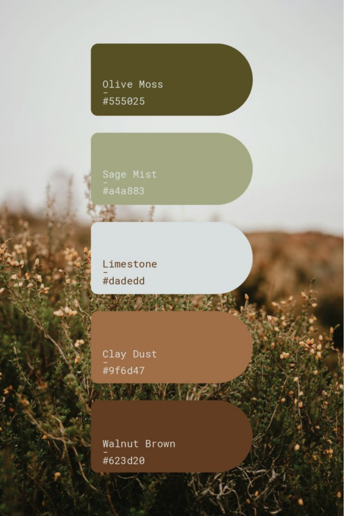 Earthy Inspired colours Earthy Inspired colours